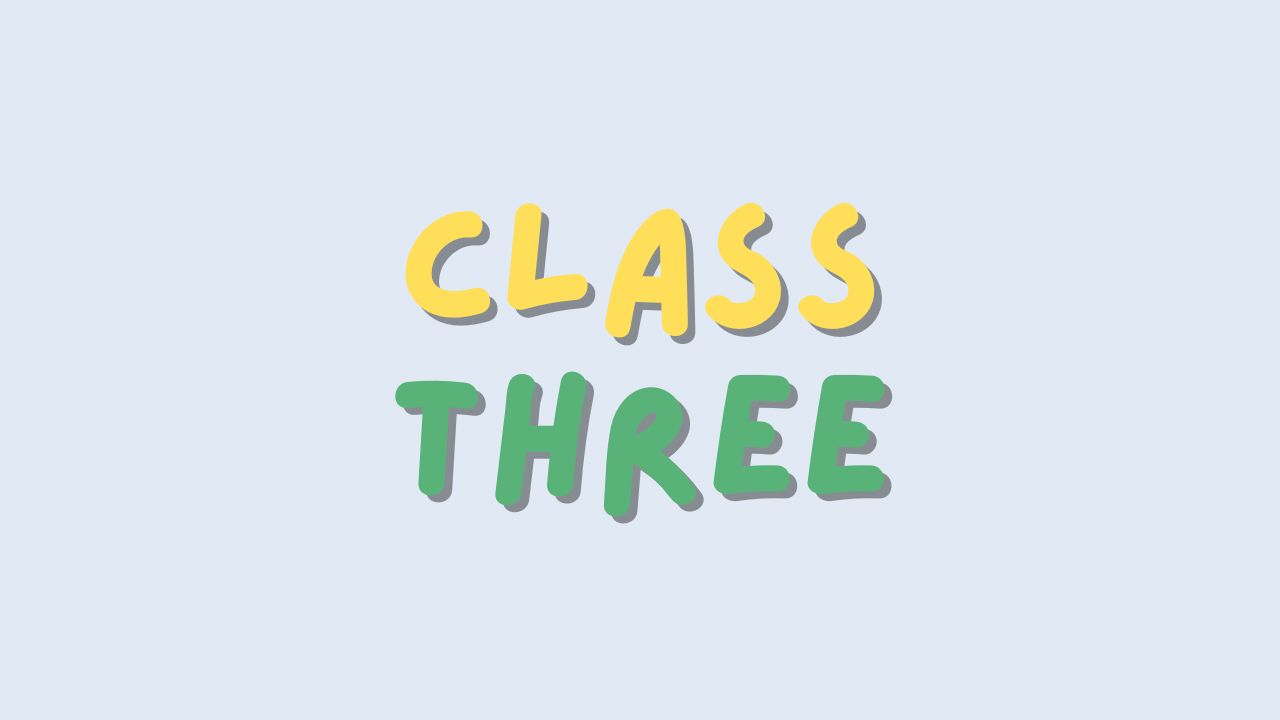 Class 3