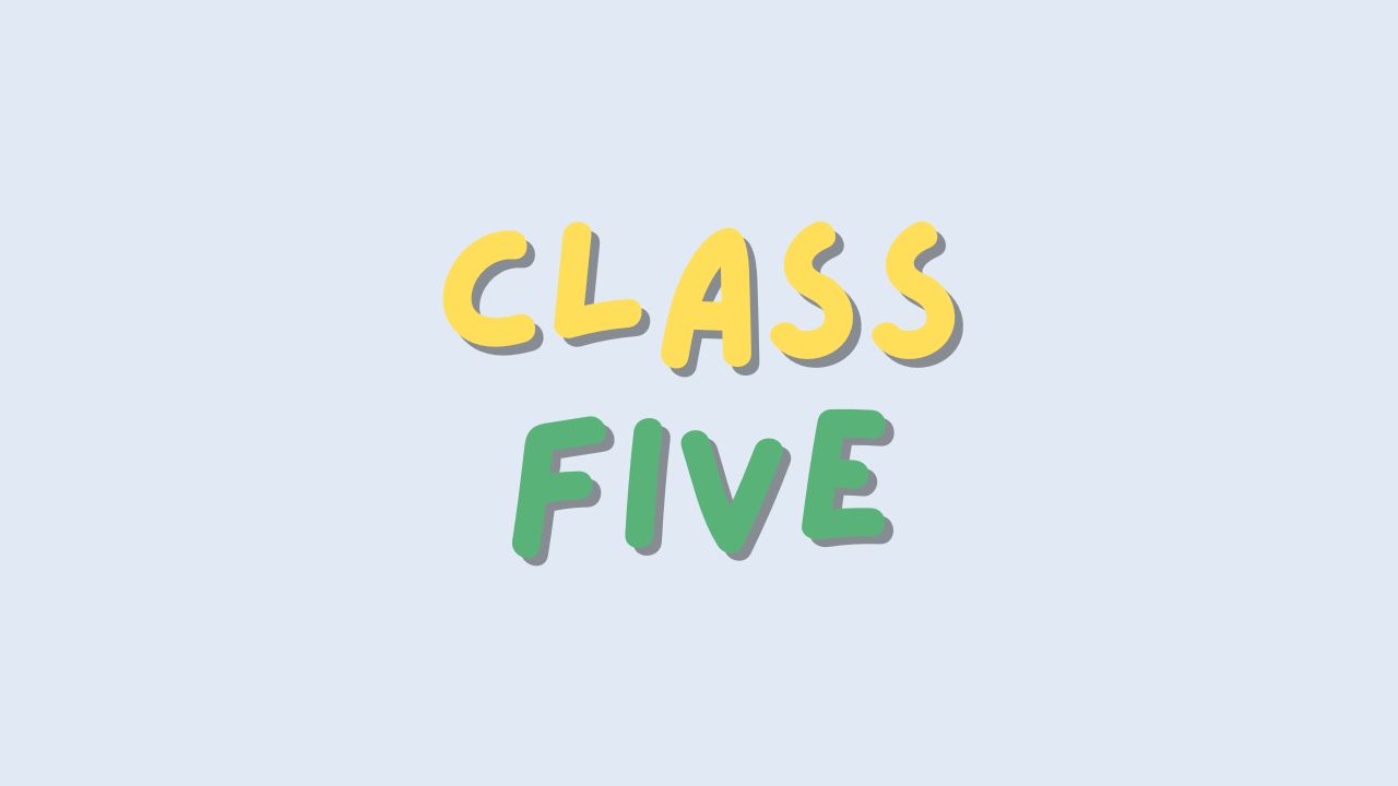 Class 5